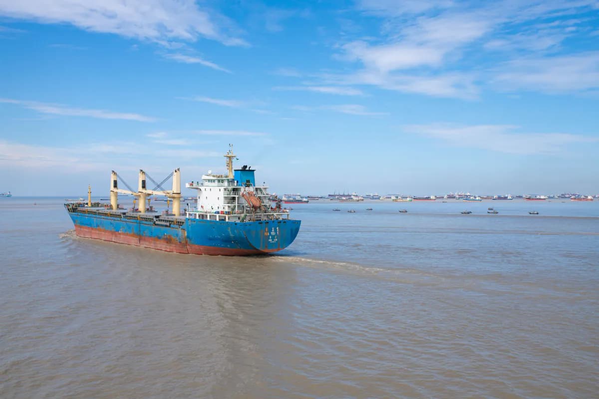 A blue cargo ship sailing on the Karnaphuli River, with many more ships at anchor on the horizon